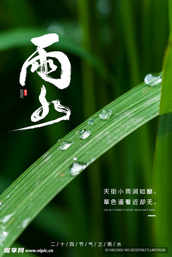 雨水海报