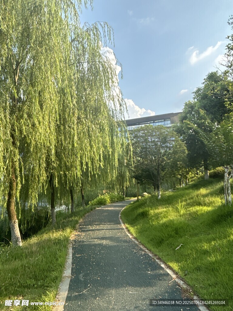 林间小径