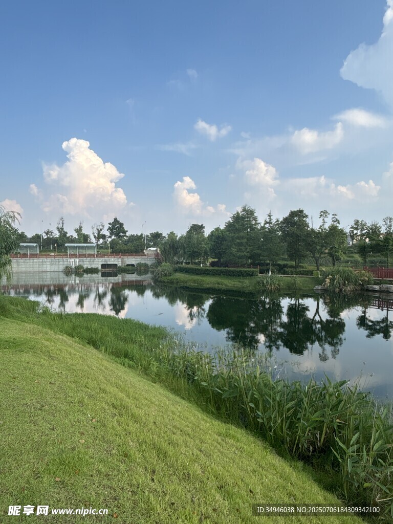 湖畔草地美景