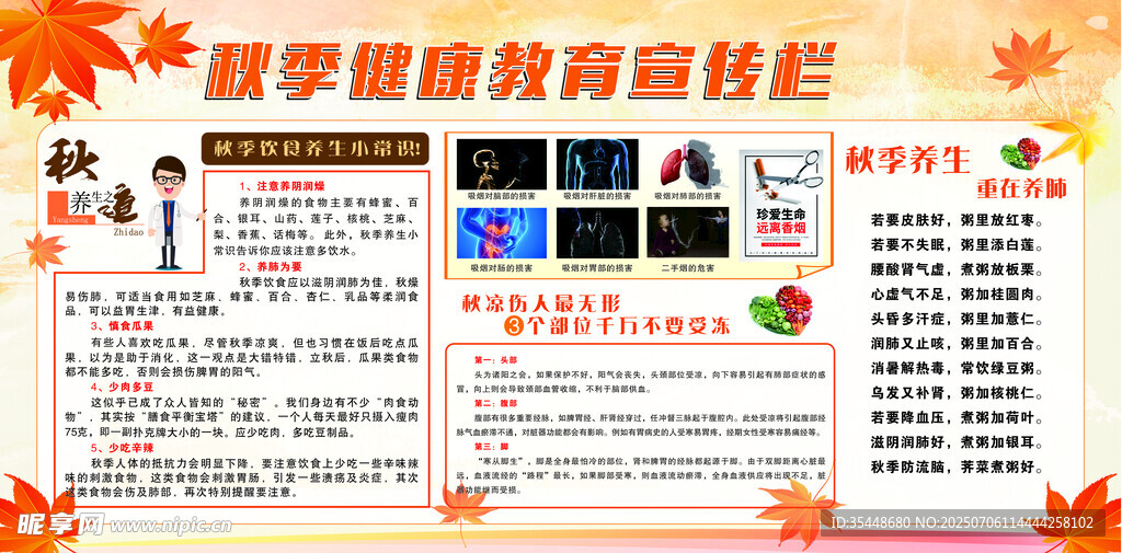 秋季健康教育宣传栏