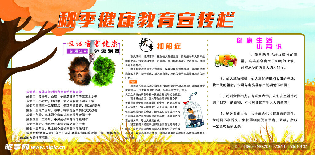 秋季健康教育宣传栏