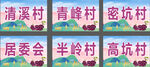 紫山药举牌