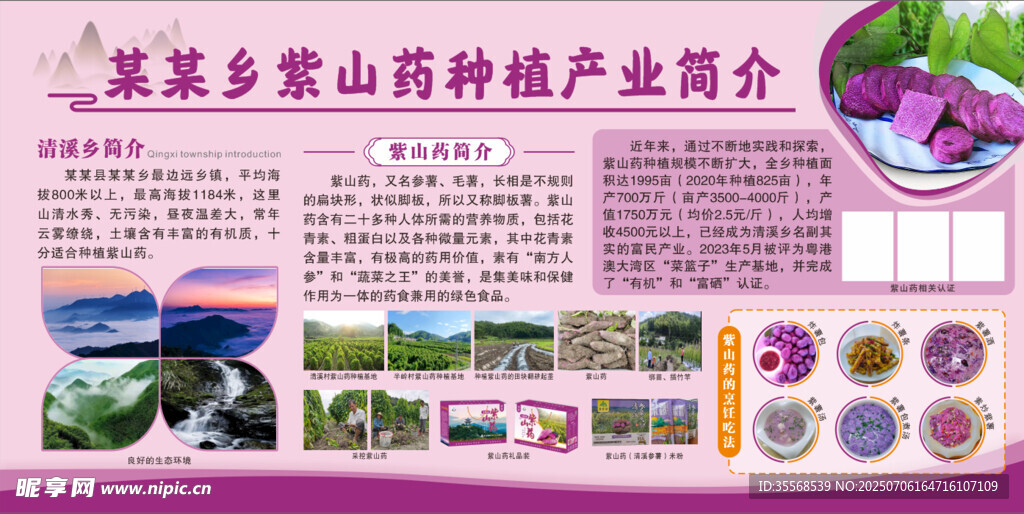 紫山药展板