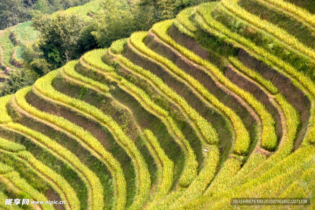 壮观梯田美景