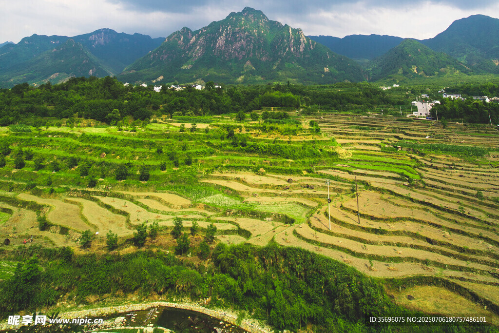山间梯田美景