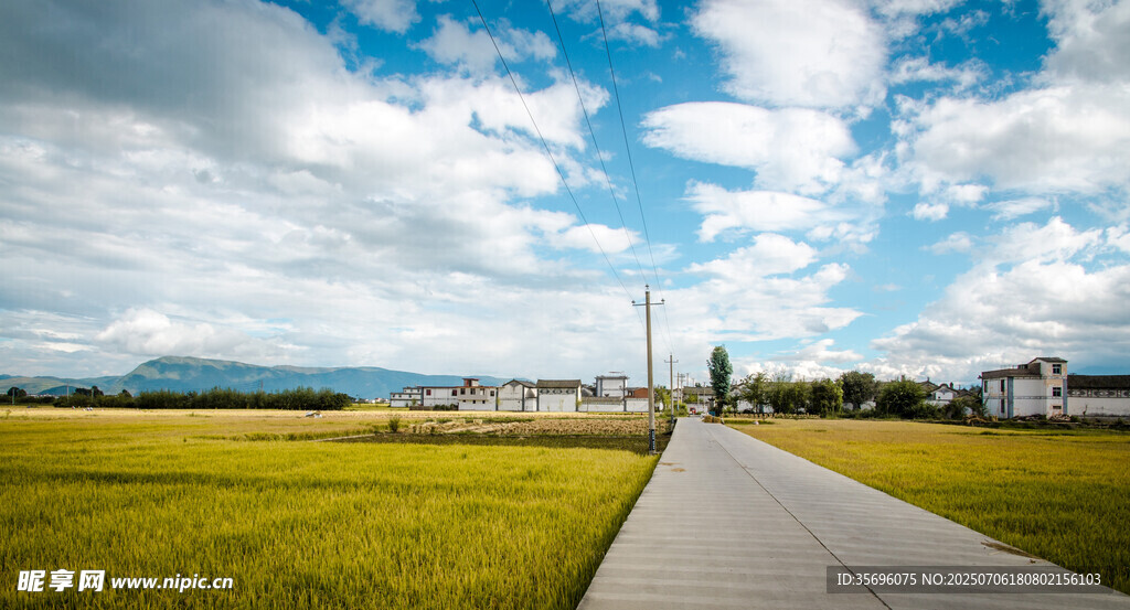 田野间的宽阔道路
