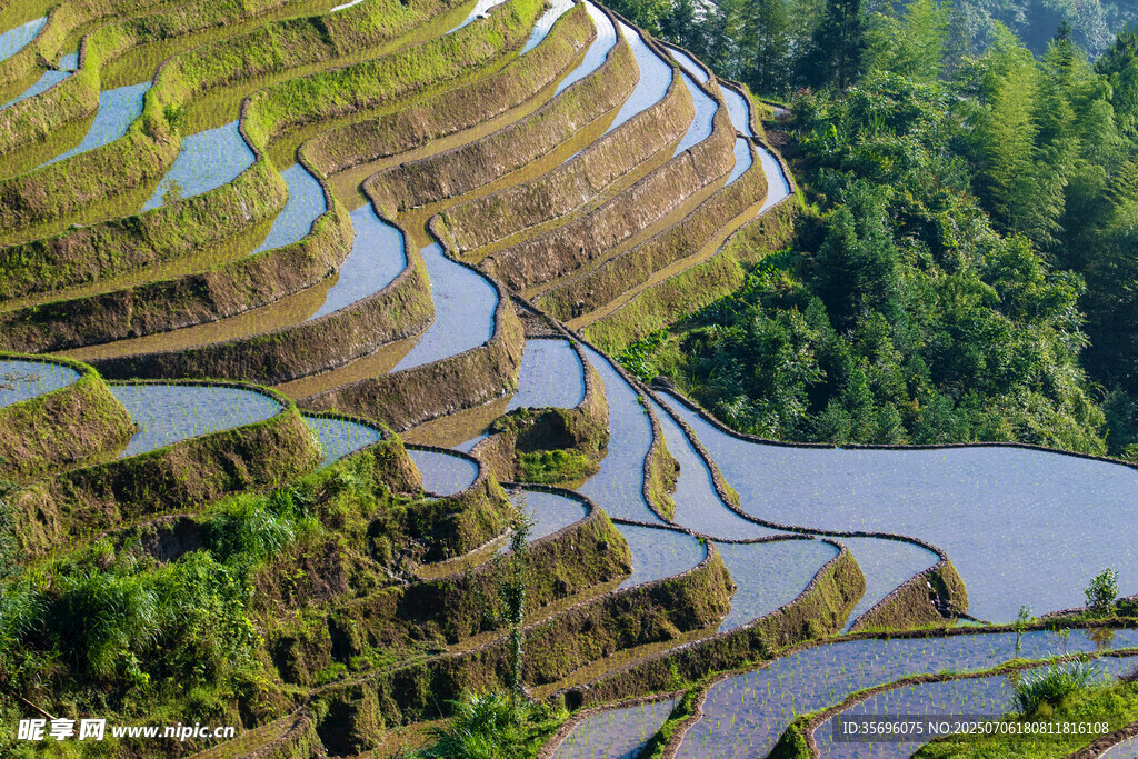 壮观梯田美景