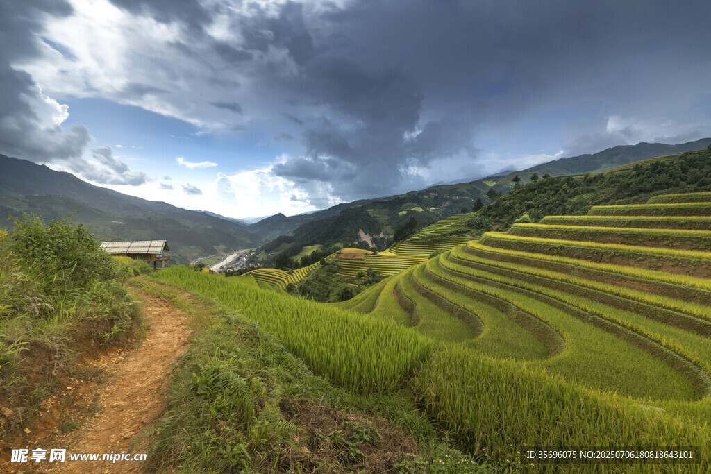 山间梯田美景