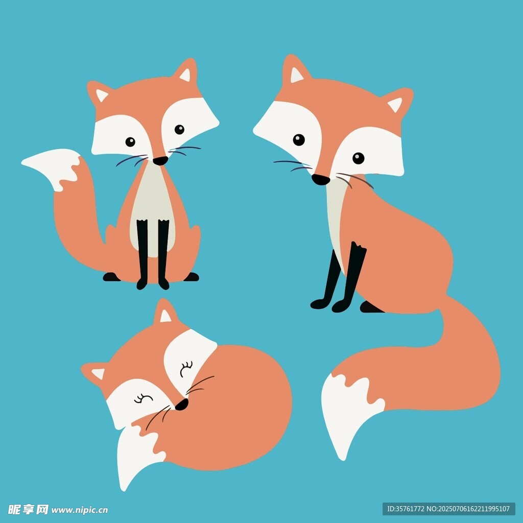 四只可爱狐狸插画