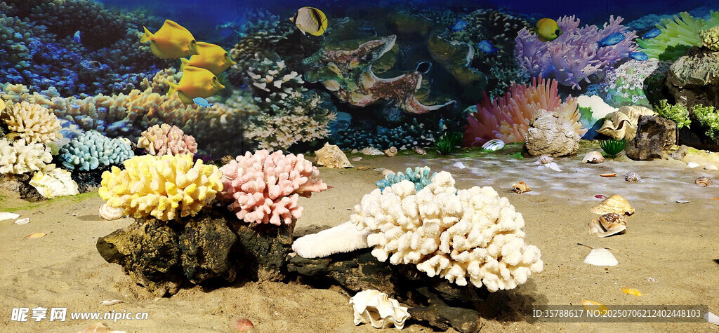 海底世界