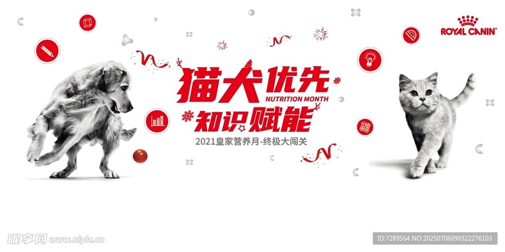 猫犬知识