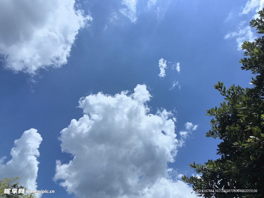 蓝天白云绿树美好景致