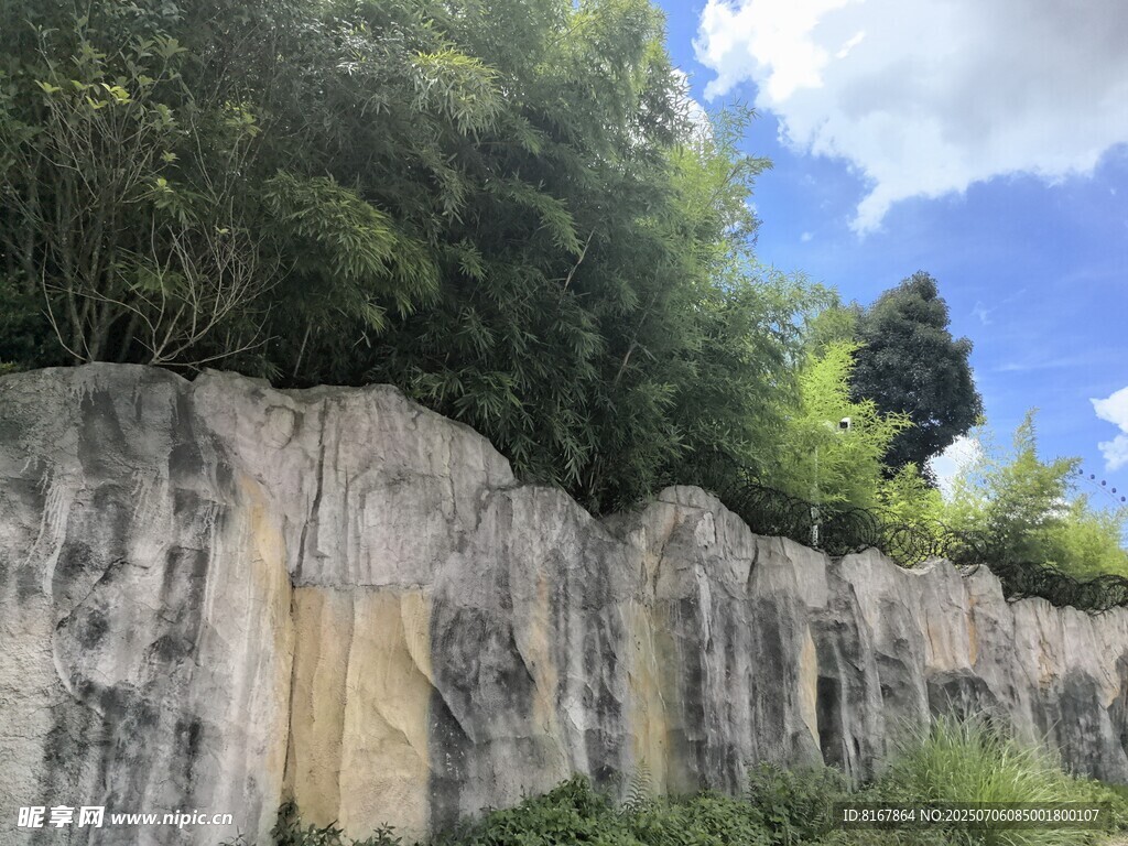 陡峭石壁旁的葱郁植被