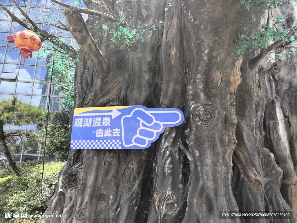 大树上的蓝色指示牌