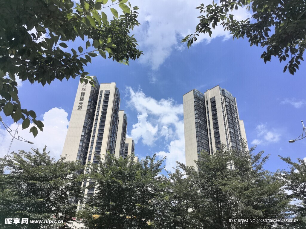 高楼林立间的蓝天绿树