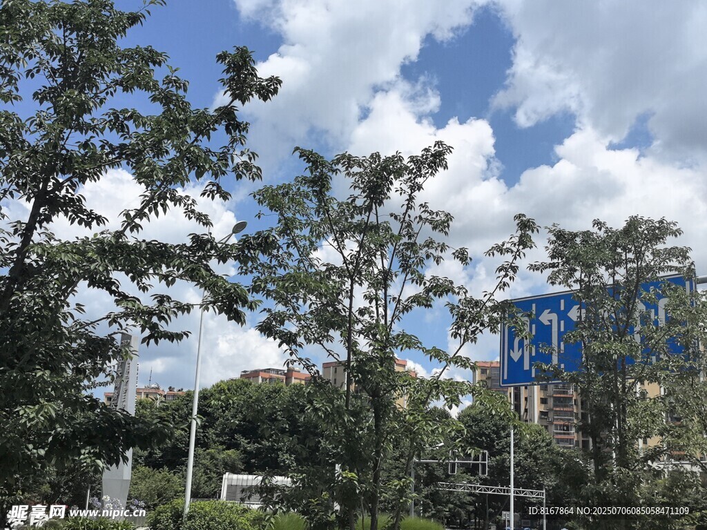蓝天白云下的绿树景致