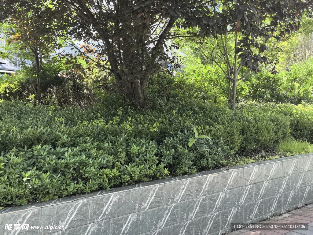 城市绿植景观一角