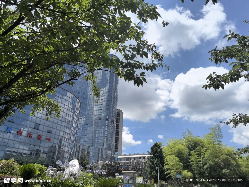 城市绿荫下的现代建筑景观