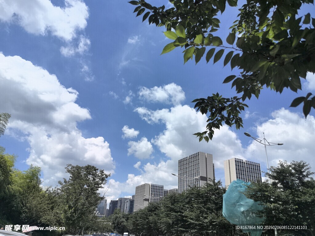 城市蓝天绿树风景图