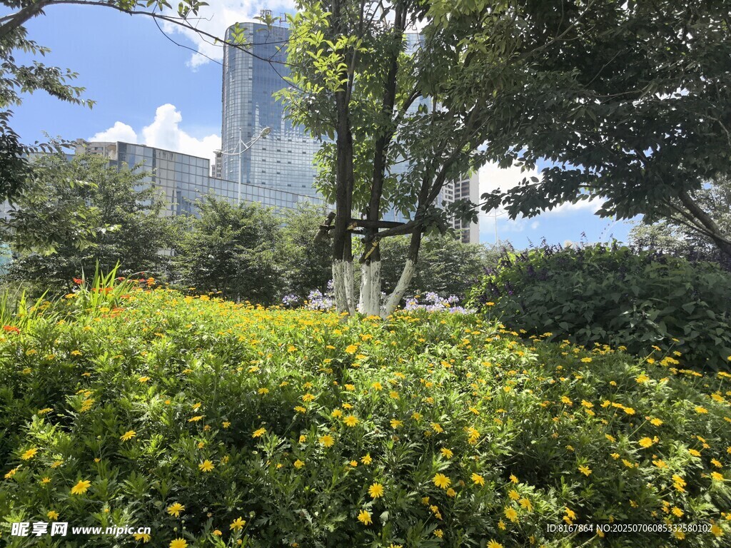 城市中繁茂的绿植景观