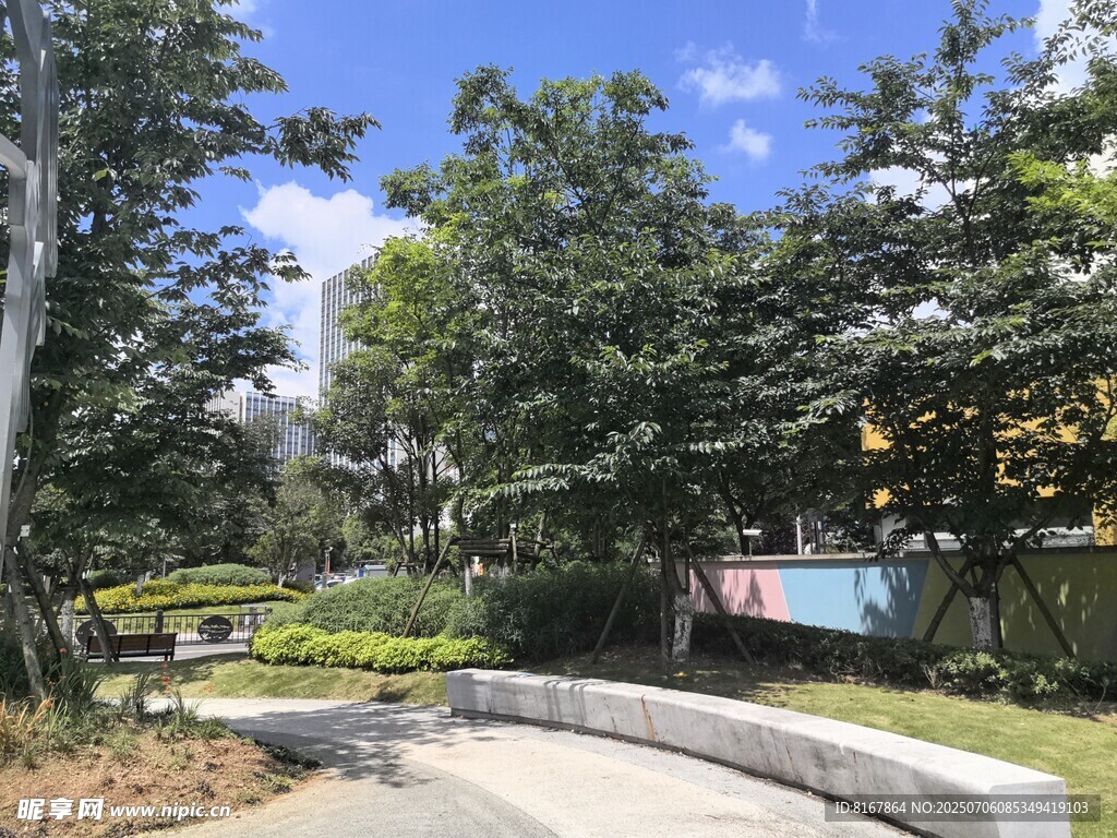 城市中的静谧园林景观
