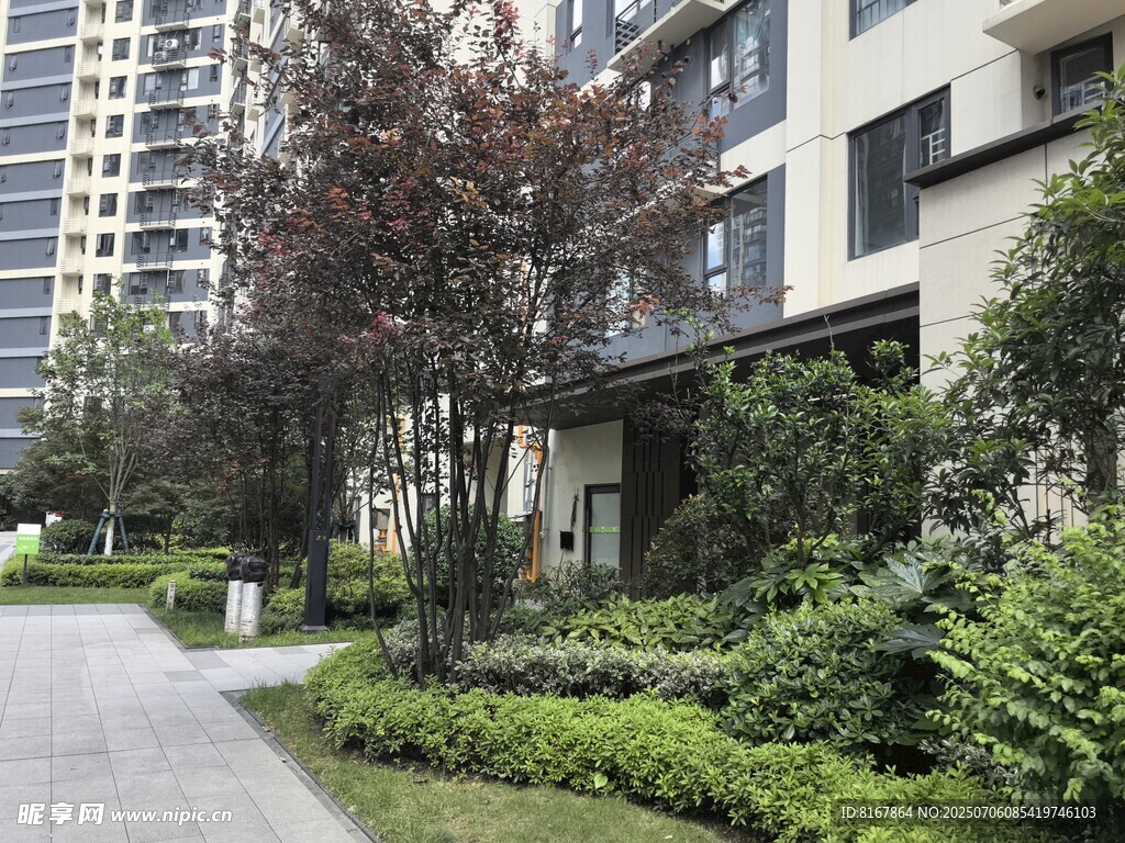 小区优美绿化景观