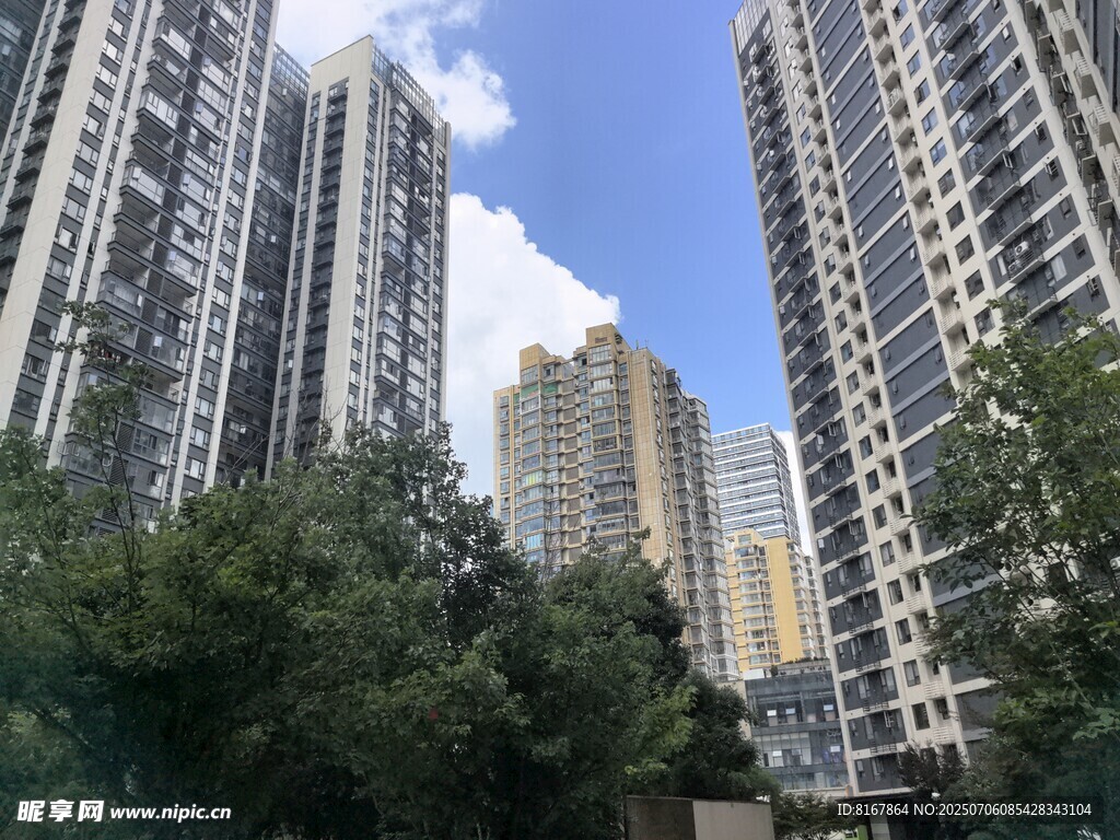 城市高楼与绿树景观