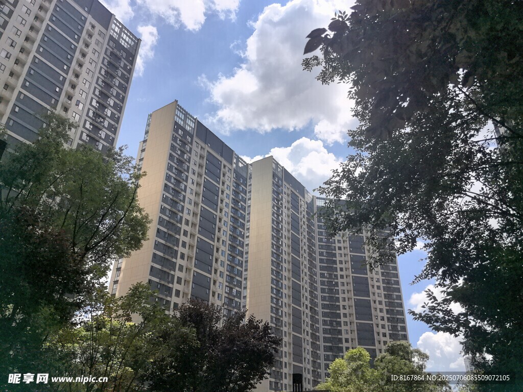 高楼林立间的绿树蓝天