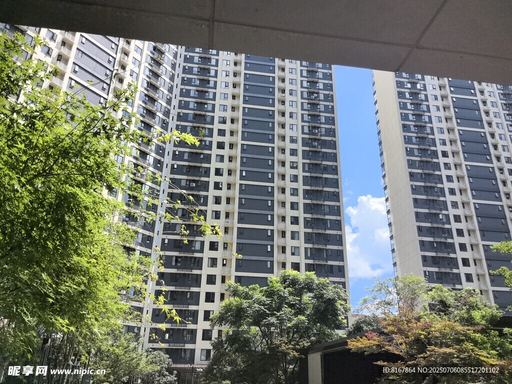 高层住宅旁的绿植景观