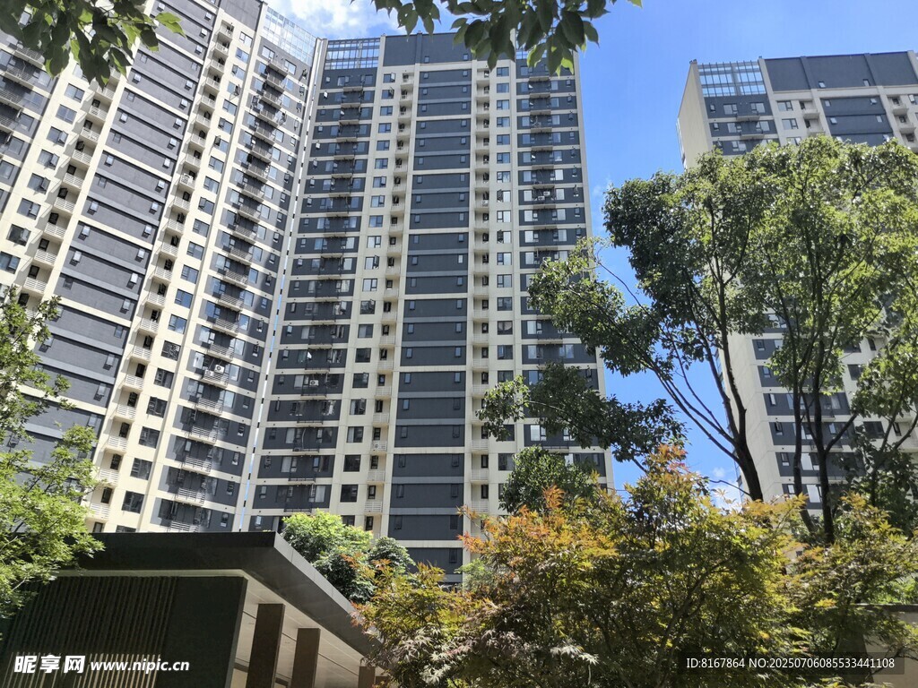 高层住宅旁的绿树景观