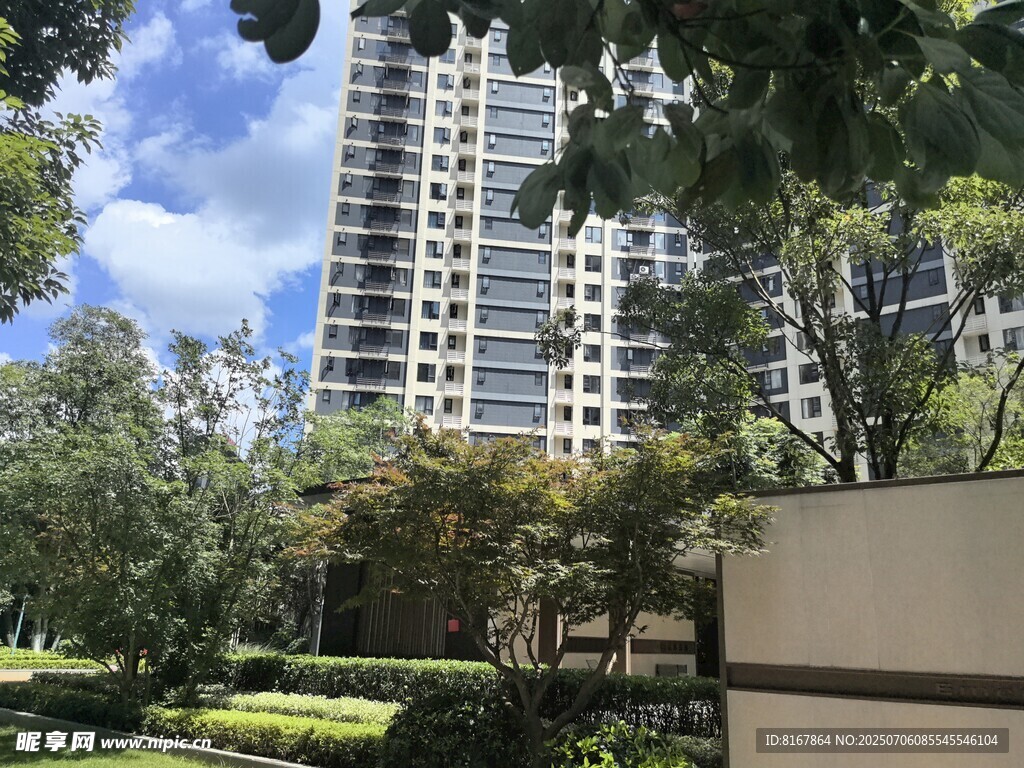 城市中高楼旁的绿意景观