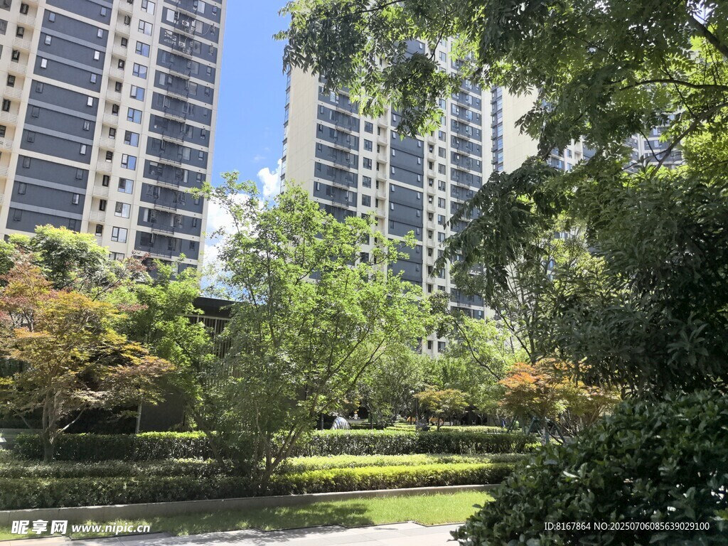 城市中的绿植与高楼景观