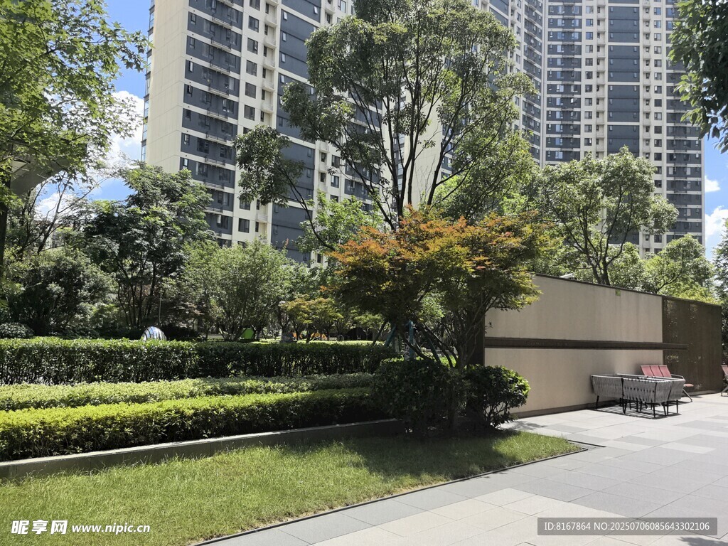 城市中的绿植景观
