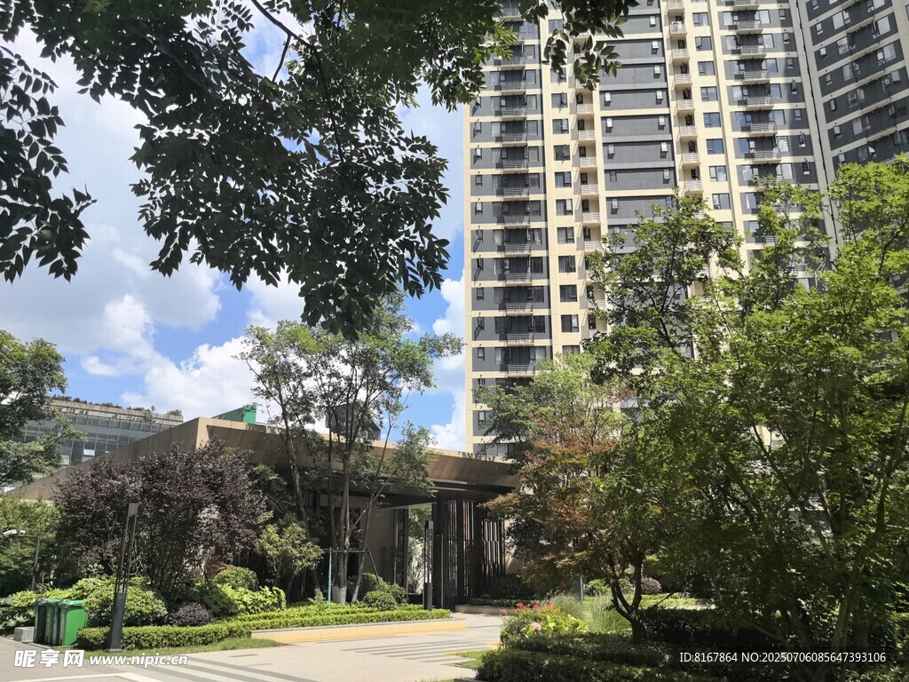 高层住宅旁的绿意景观
