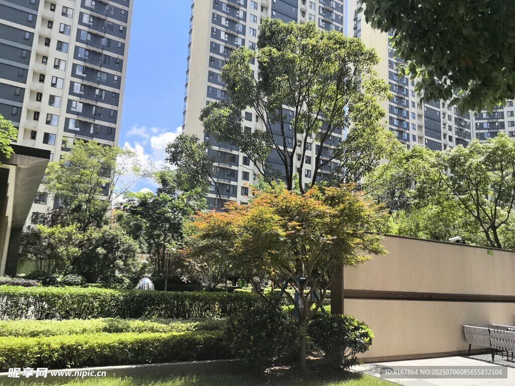 都市中的绿植与高楼景观