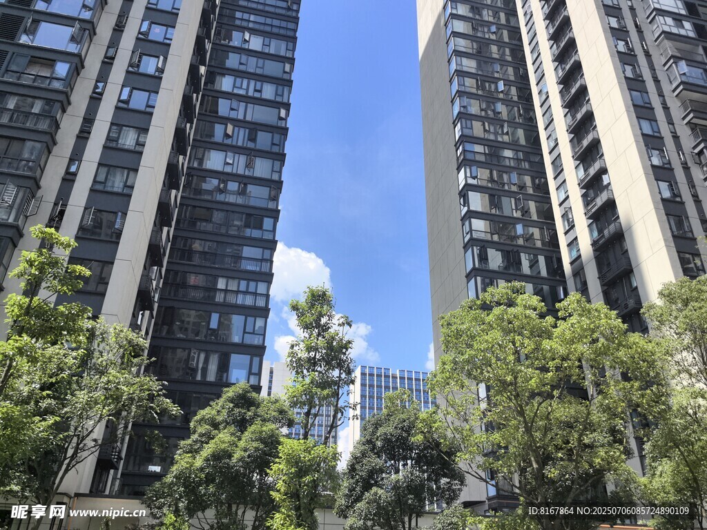 高楼林立间的绿树景观