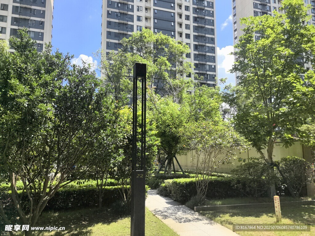 小区内的林荫小径与高楼