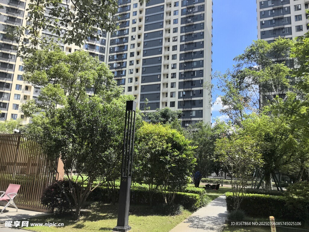 城市中的静谧花园景观