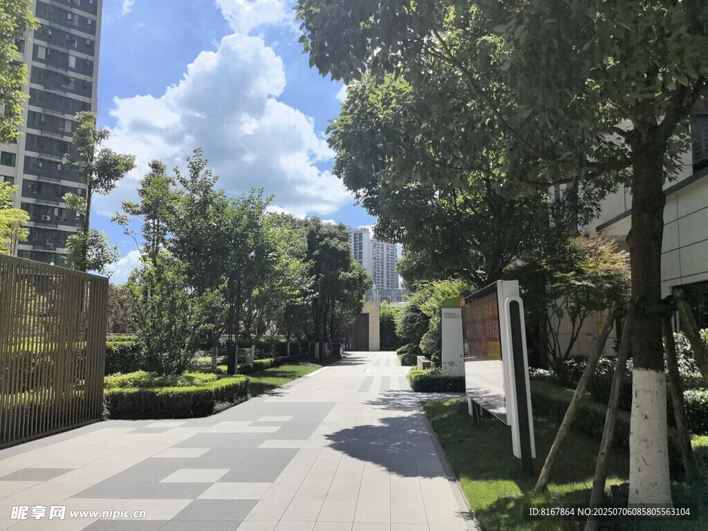 城市林荫步道景观