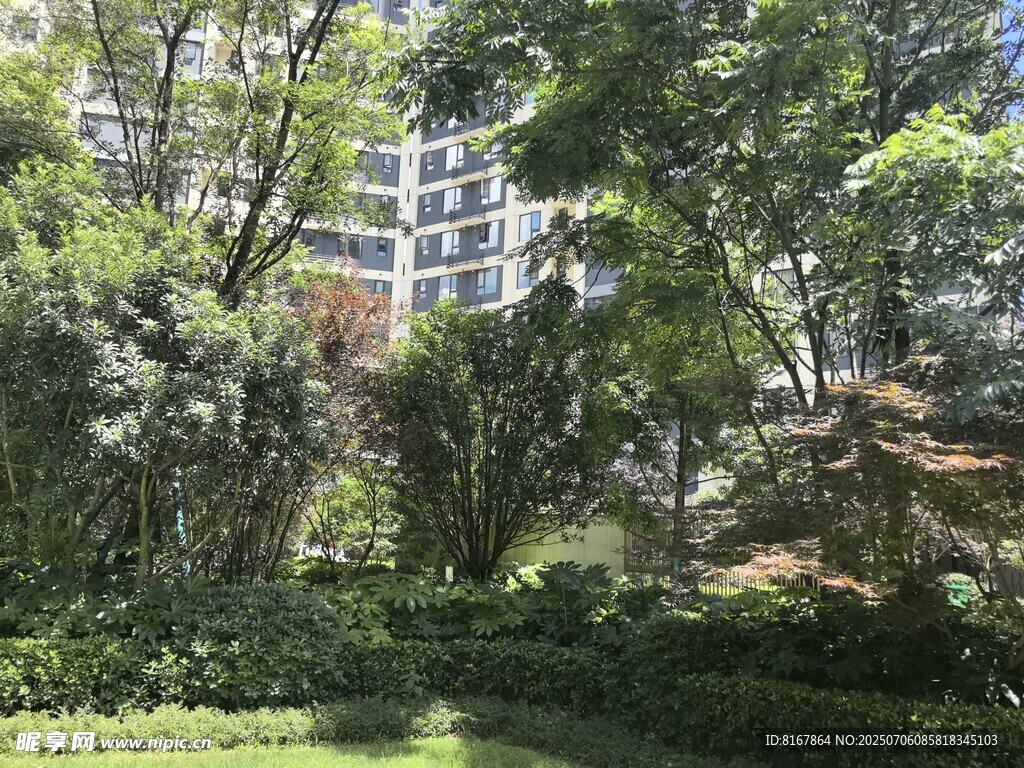 城市中的绿意盎然景观