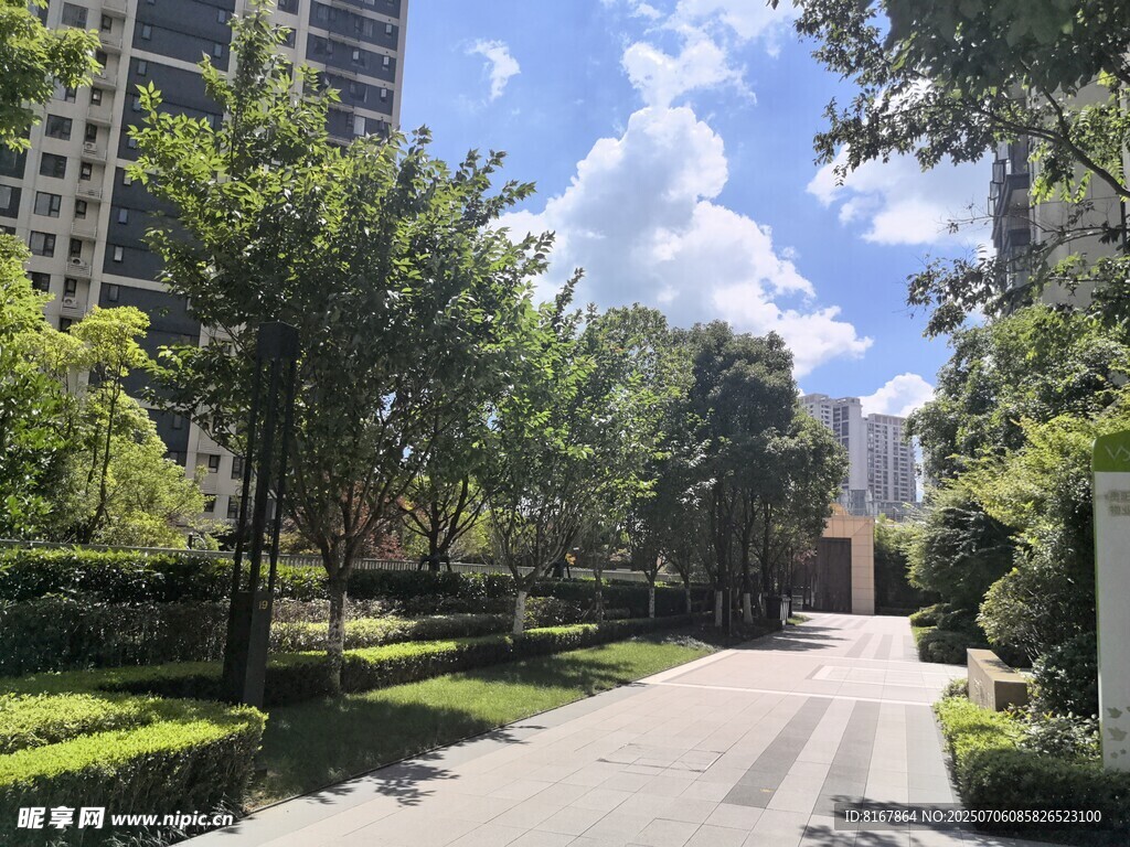 小区林荫小道景观