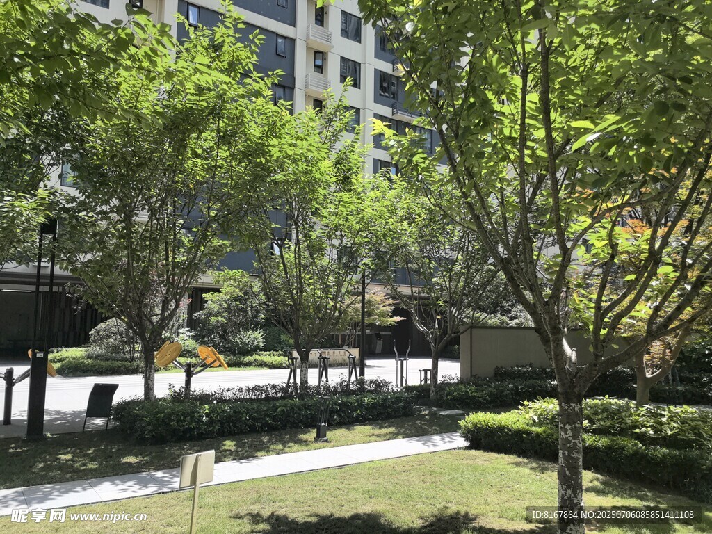 城市中的静谧绿化景观