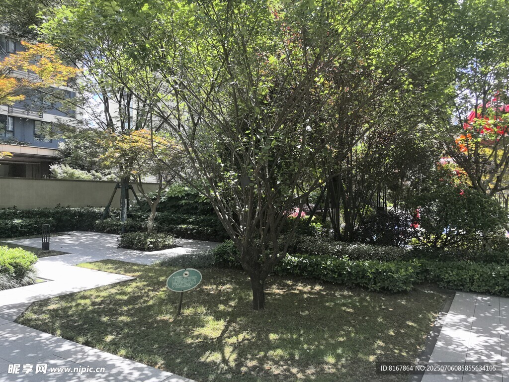 静谧庭院绿植景观