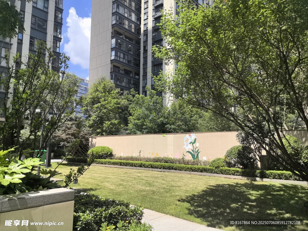 城市中的静谧园林景观