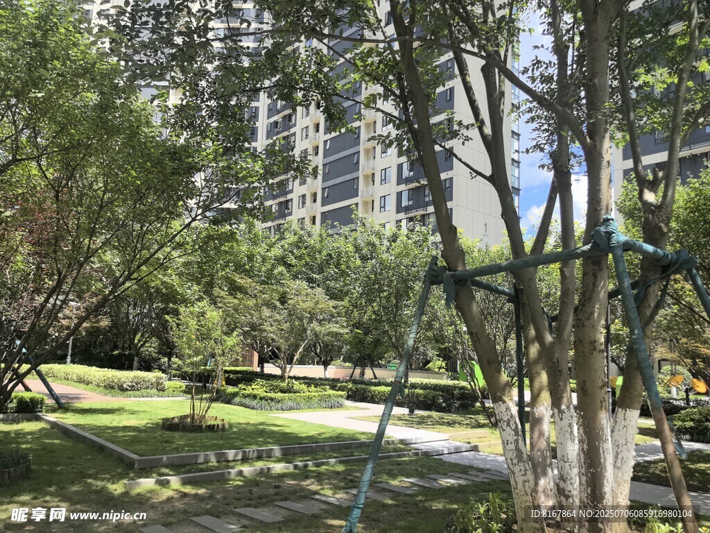 城市中葱郁的树木与绿地