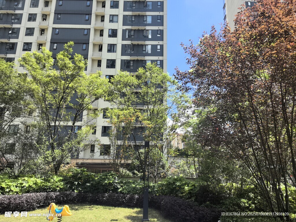 小区内的绿植与高楼景观
