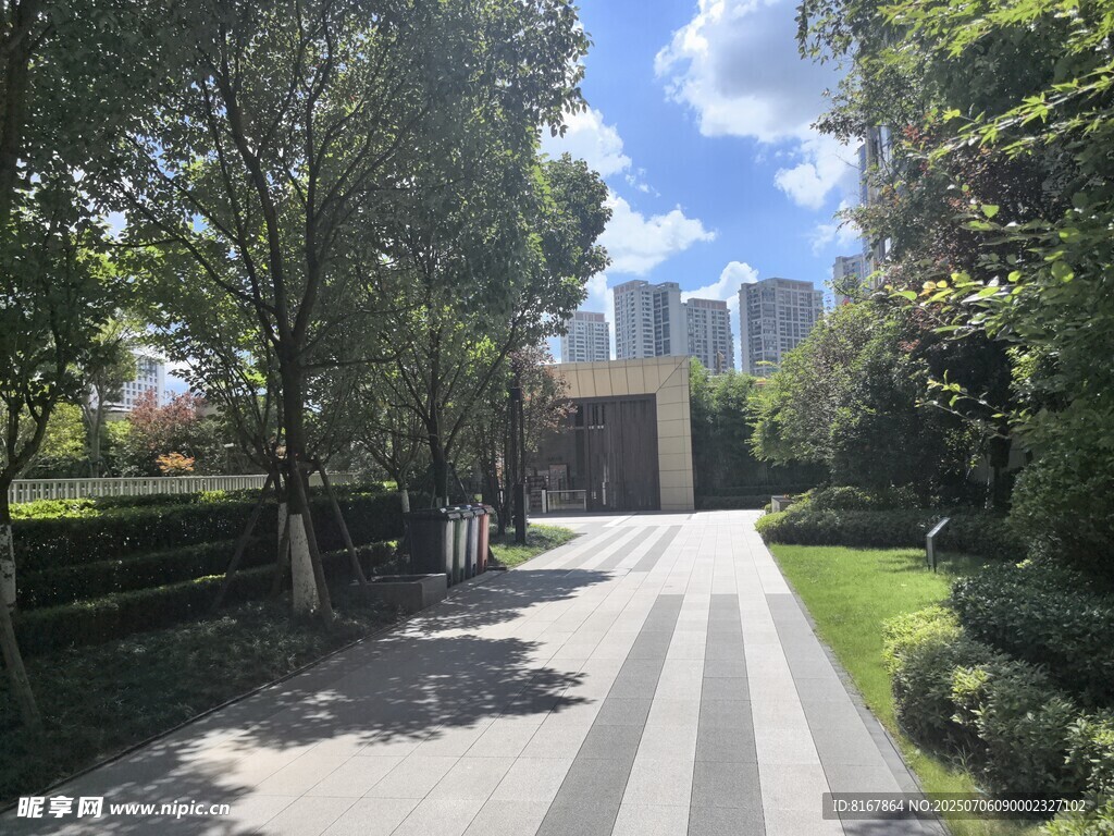 城市林荫小道景观