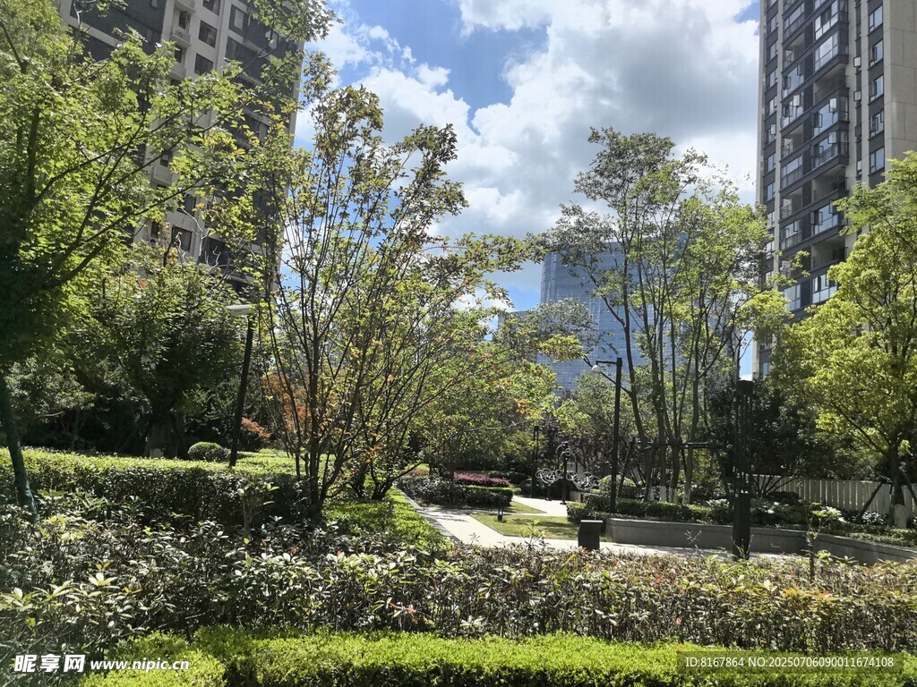 城市中的静谧花园景观