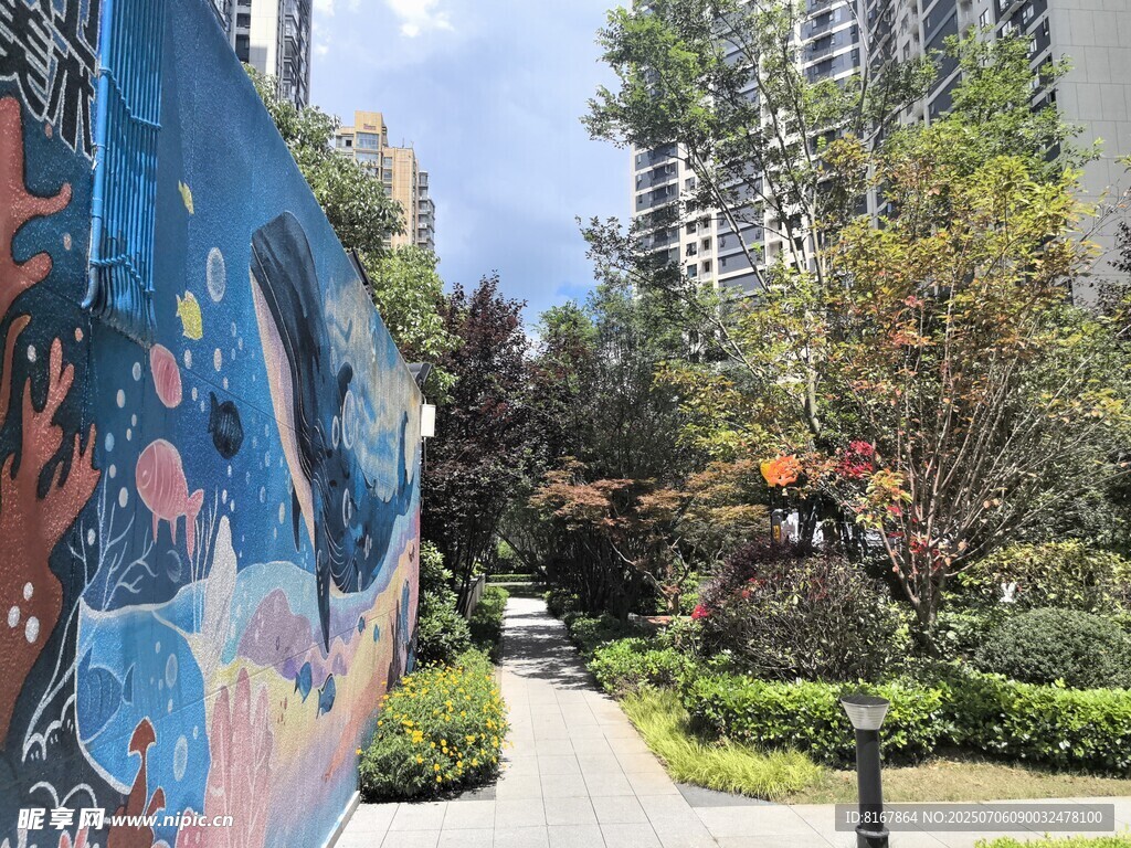 城市中色彩斑斓的街头壁画