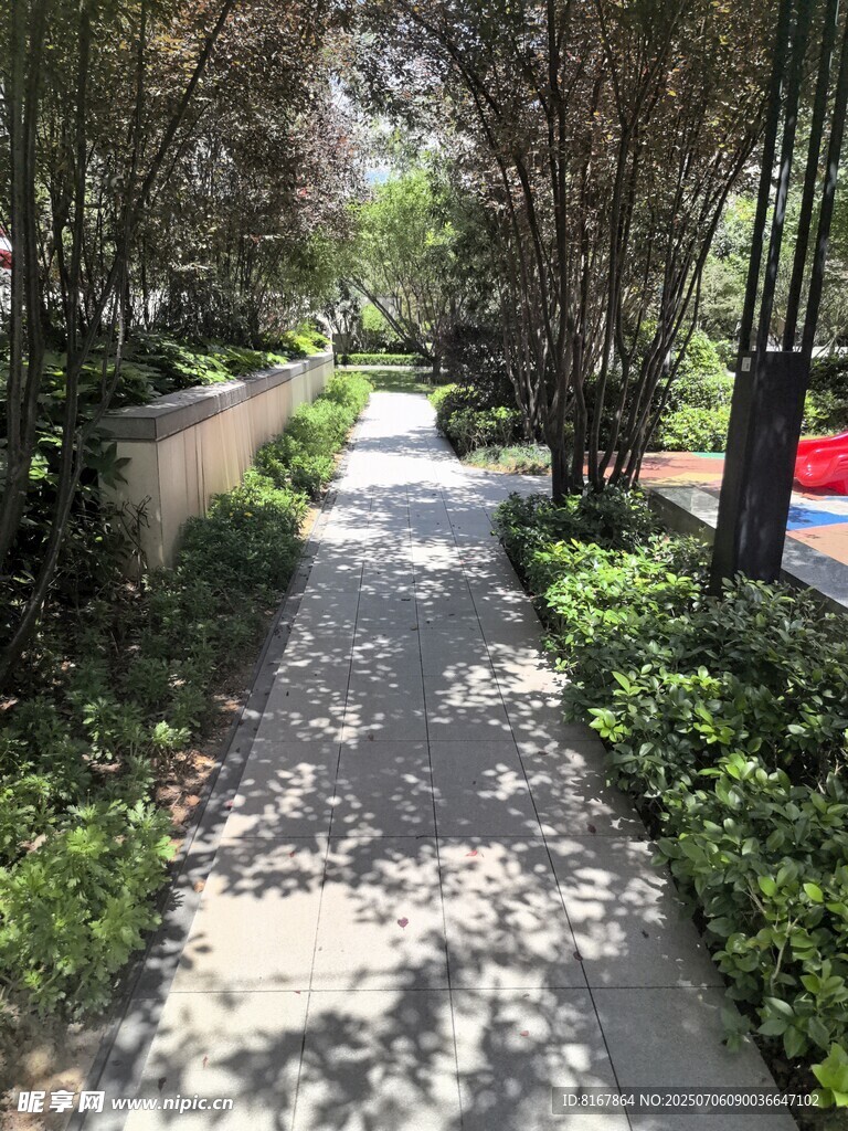 幽静庭院小径绿植环绕